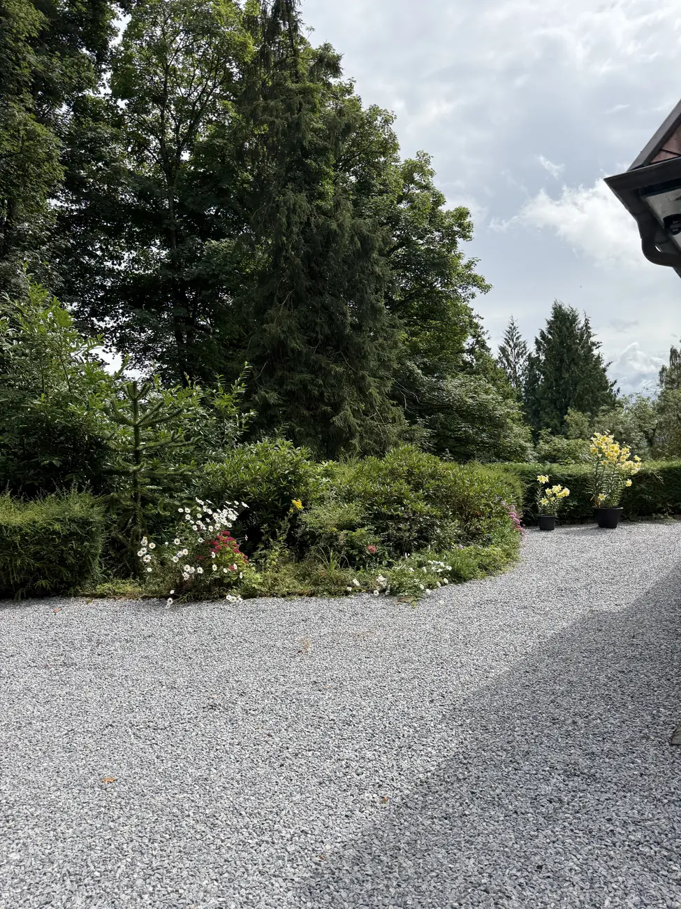 Gravel and flowering shrubs by the main house