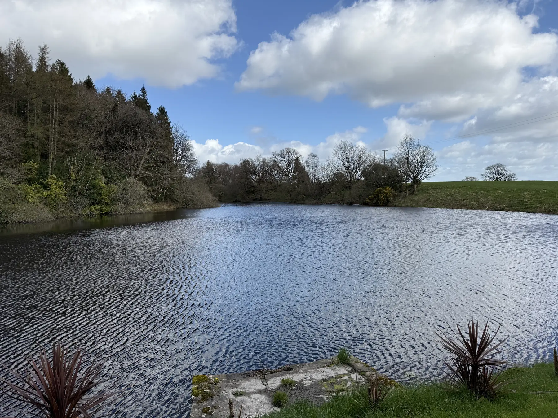 A lake edged with woodland and meadow