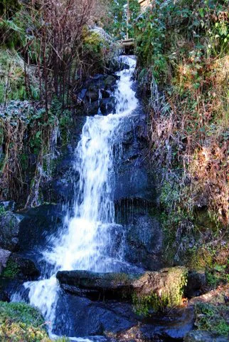 The waterfall in the woods